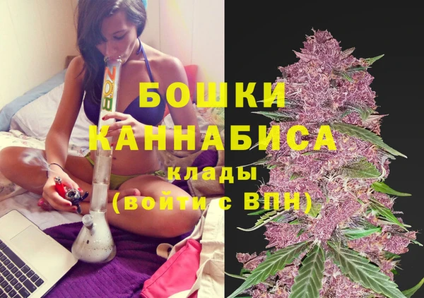 спиды Сосновка