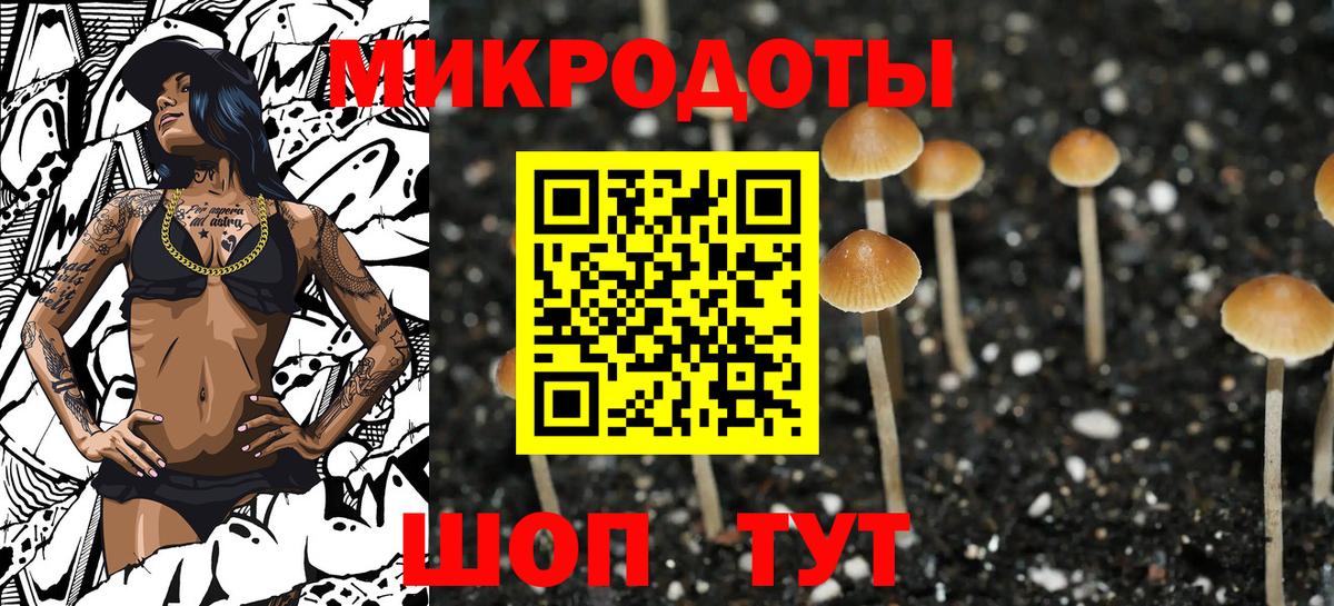 Корсаков  Галлюциногенные грибы мицелий  Вход с VPN 